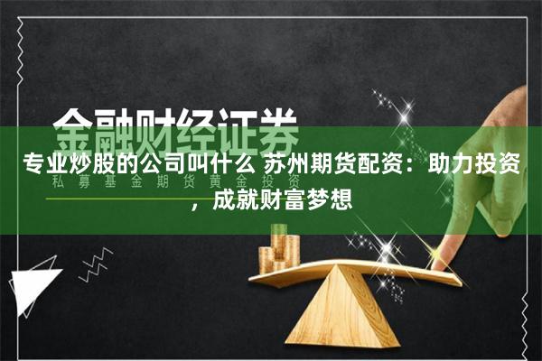 专业炒股的公司叫什么 苏州期货配资：助力投资，成就财富梦想
